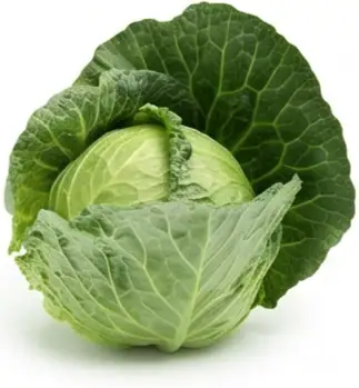 Cabbage Not Included