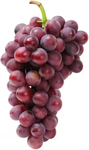 Bag of Grapes