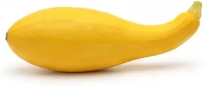 Squash Not Included