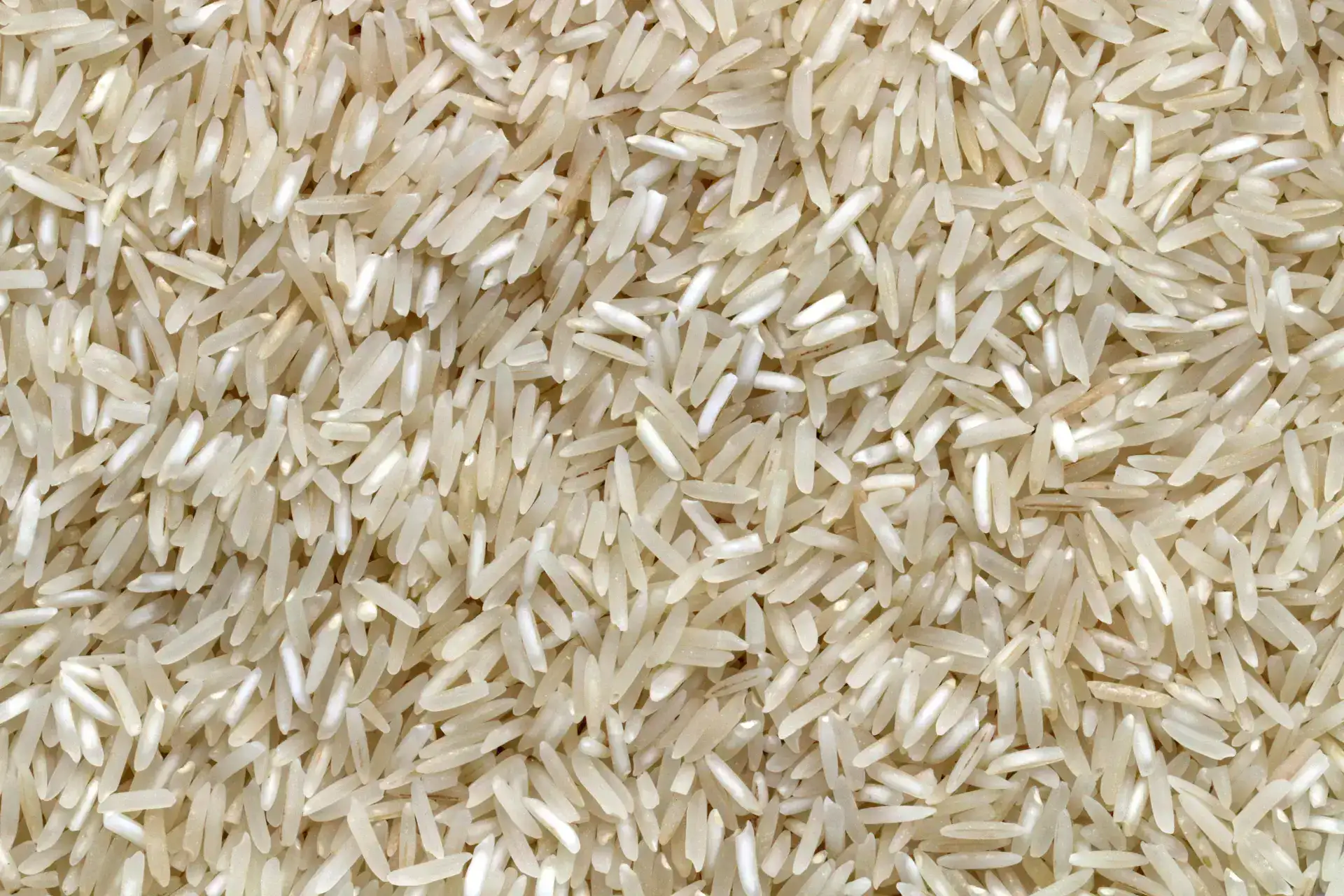 White Rice - South Michigan Food Bank